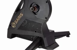 サリスアンバサダー