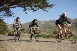 ブロンプトン2021