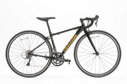 ワイズロード別注キャード