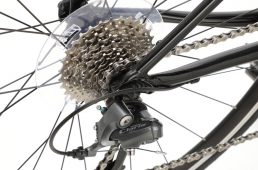 ワイズロード別注キャード