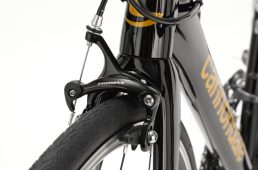 ワイズロード別注キャード