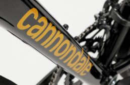 ワイズロード別注キャード