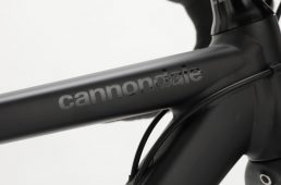 ワイズロード別注キャード