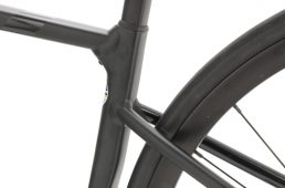 ワイズロード別注キャード