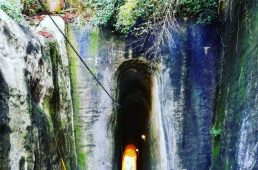 グランサイクルロゲイニング×きみと、波にのれたら～スナメリ探しの3か月～