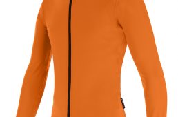 サンティー二2020