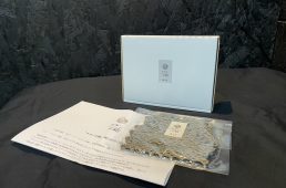 チタンの鎧コーティング済みチェーン