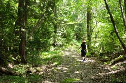旧街道じてんしゃ旅 旧中山道編 七日目