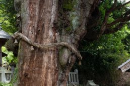 旧街道じてんしゃ旅 旧中山道編 七日目