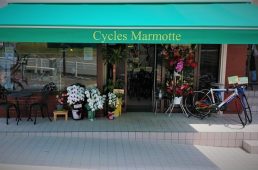 シクル・マーモット