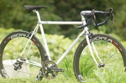 チクリ ペリッツォーリ