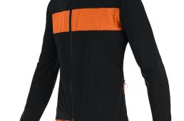 サンティーニ2020