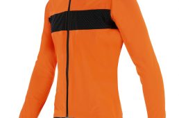 サンティーニ2020