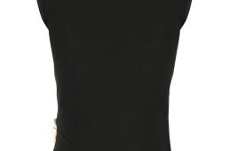 サンティーニ2020