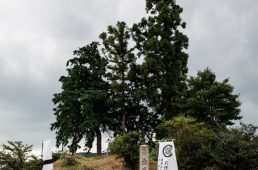 旧街道じてんしゃ旅 旧中山道編 九日目