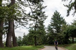 旧街道じてんしゃ旅 旧中山道編 九日目