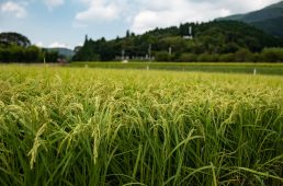 旧街道じてんしゃ旅 旧中山道編 九日目
