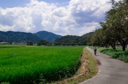 旧街道じてんしゃ旅 旧中山道編 九日目
