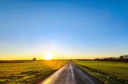 別府史之が見た世界11