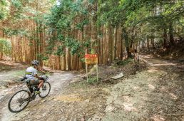 GRXヒルクライム