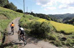 関西ヒルクライムコースガイド大阪北部