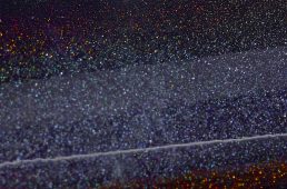 ビアンキ・スペシャリッシマ ディスク