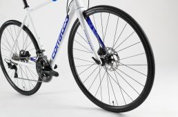 コラテック・ドロミテ ディスク