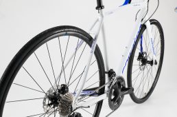 コラテック・ドロミテ ディスク