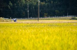 BBベース×ワイズロード