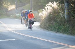 BBベース×ワイズロード