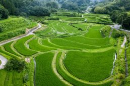 花みどりフェア・サイクリング