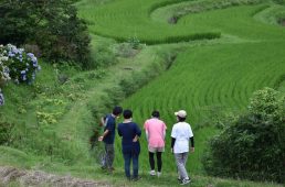 花みどりフェア・サイクリング