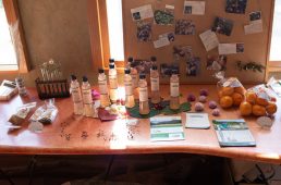 花みどりフェア・サイクリング