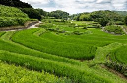 花みどりフェア・サイクリング