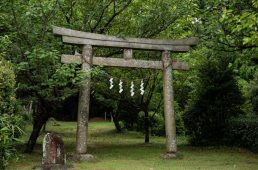 花みどりフェア・サイクリング