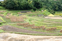 花みどりフェア・サイクリング