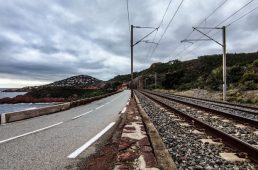 別府史之が見た世界12