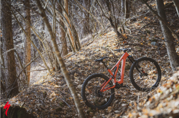 スペシャライズド・LEVO SL