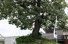 旧街道じてんしゃ旅 旧中山道編 最終回