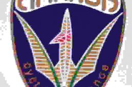 アマンダスポーツ