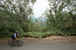 関西ヒルクライムコースガイド大阪東部・南部