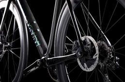 スペシャリッシマディスク