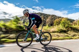 スペシャリッシマディスク