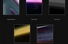 スペシャリッシマディスク