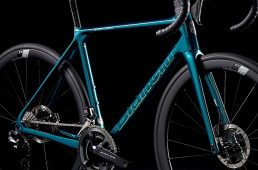 スペシャリッシマディスク