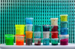 ビアンキ・スペシャリッシマ ディスク