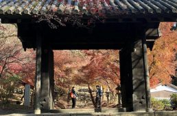 福岡県うきは市・ふくおか古民家サイクリング