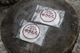 関西ヒルクライムコースガイド和歌山