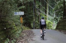 関西ヒルクライムコースガイド和歌山