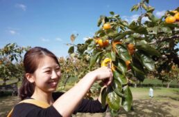 うきは古民家まちづくり協議会